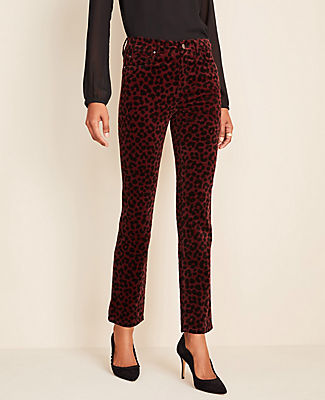 Ann Taylor Petite Velvet Leopard Print Skinny Jeans